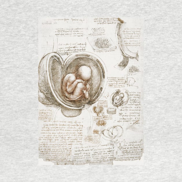 Studies of the Fetus in the Womb - Leonardo da Vinci by opptop